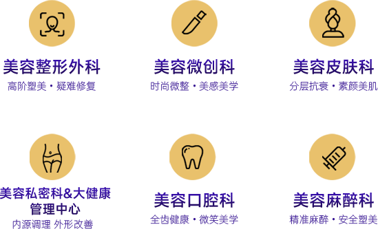 美容整形外科、美容微创科、美容皮肤科、美容私密科与大健康管理中心、美容口腔科、美容麻醉科